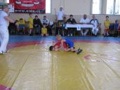IMG_0010.JPG