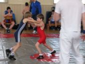 IMG_8505.jpg