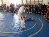 20150411_113320.jpg