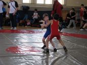 IMG_8556.JPG