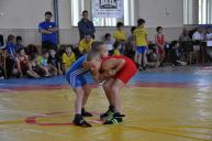DSC_0508.JPG